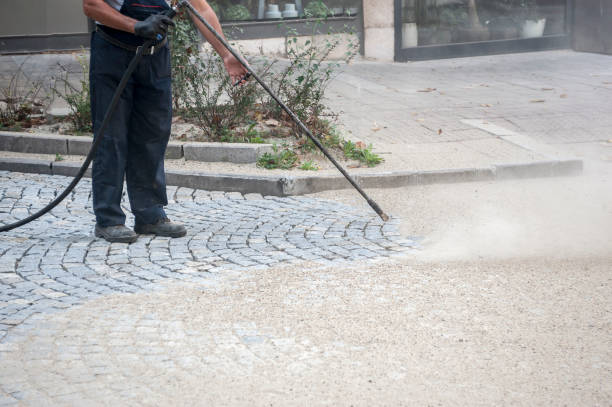 Best Driveway Pressure Washing  in Whitewater, CA